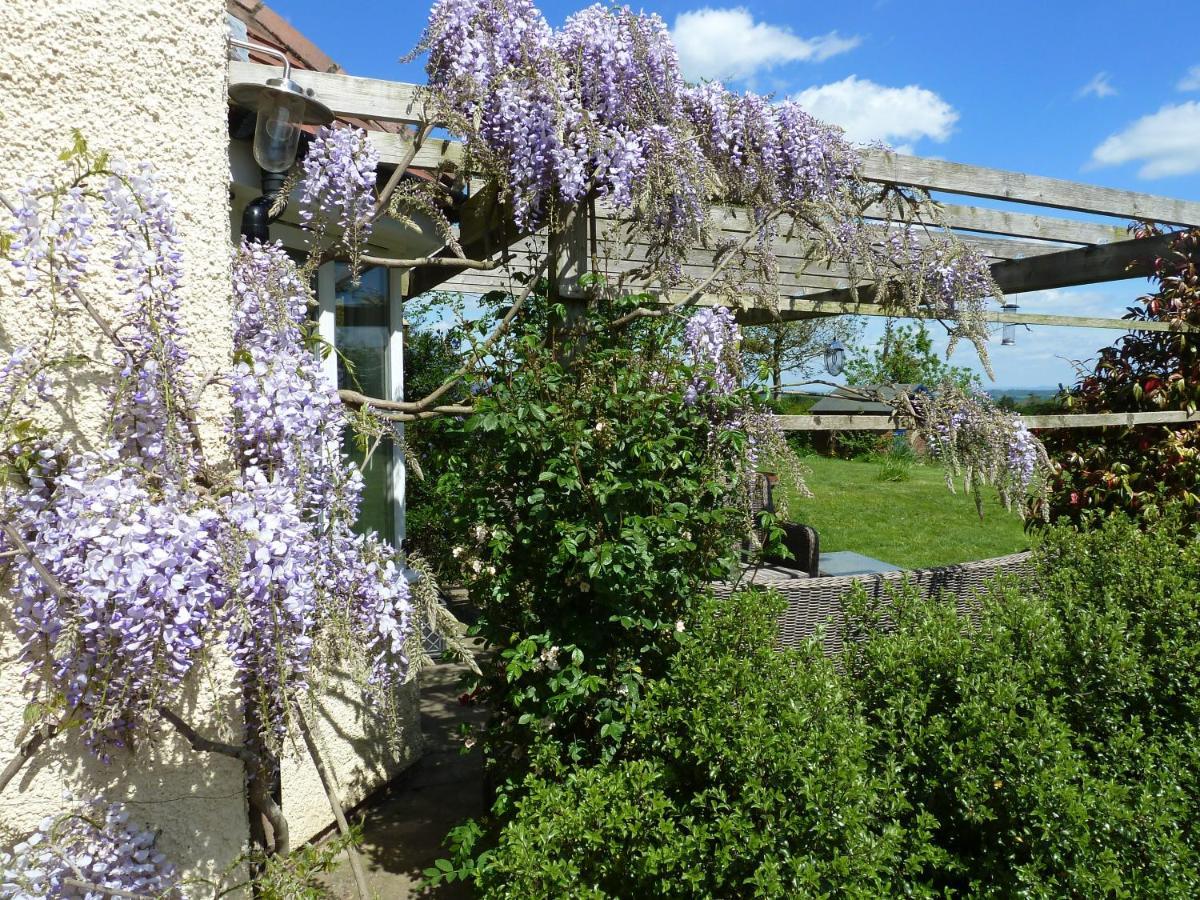 The Lodge, At Orchard Cottage Much Marcle Luaran gambar